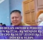 Harga TBS Sawit Turun Tipis, Pertengahan Oktober  2022