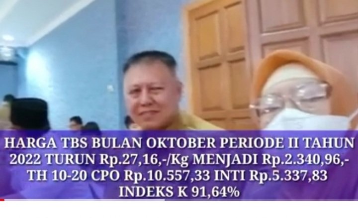Harga TBS Sawit Turun Tipis, Pertengahan Oktober  2022