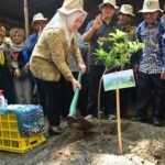 Peringatan Hari Lingkungan Hidup Dunia, Bupati Musi Rawas Tanam Pohon di Hutan Pelangi