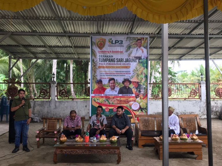 LP3 Launching Gerakan Tumpang Sari Jagung di Kabupaten Banyuasin Dorong Produktivitas dan Kesejahteraan Petani