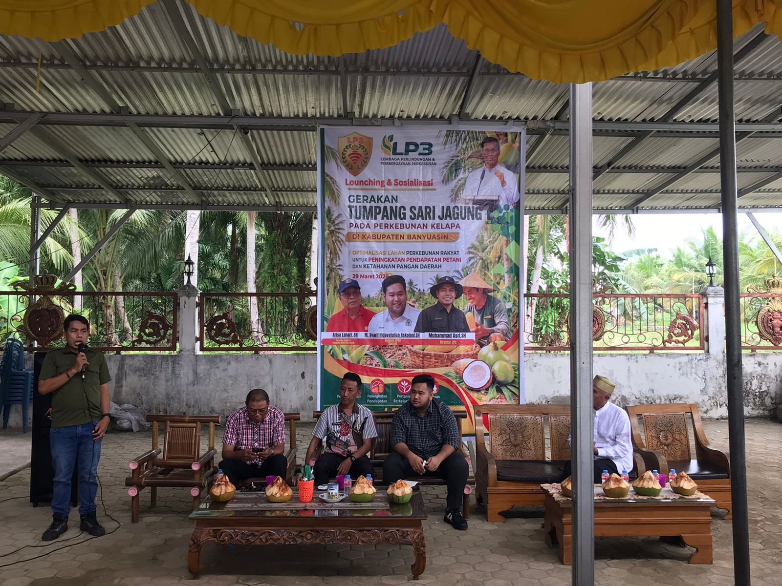 LP3 Launching Gerakan Tumpang Sari Jagung di Kabupaten Banyuasin Dorong Produktivitas dan Kesejahteraan Petani